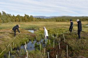 Abisko 150