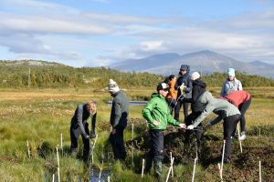 Abisko 167