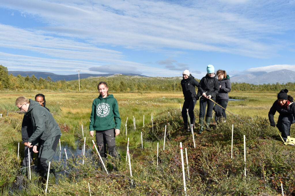 Abisko 164